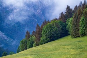 Investir à Morzine en pleine montagne