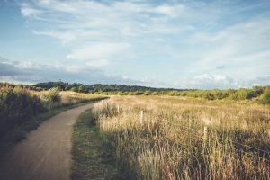 Un terrain prêt à bâtir